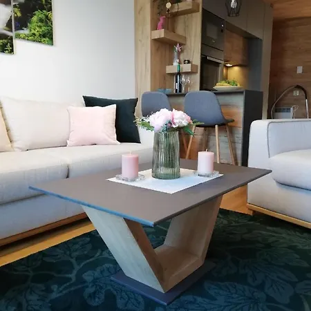 Mountain Apartman Sara 2 Apartment Zlatibor